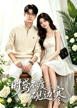 时鸢不渡砚边寒（41集）短剧完整版全集放送