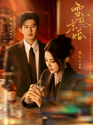 雪夜京婚（84集）短剧终篇全集限免看