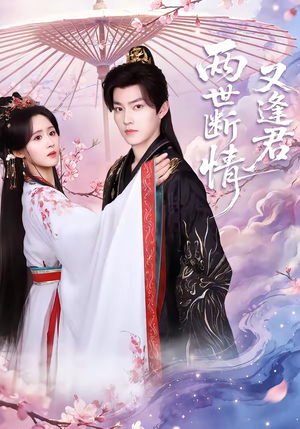 两世断情又逢君（71集）短剧大结局合集放送