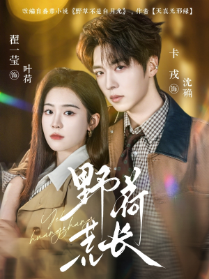 野荷荒长（86集）短剧结局篇全集直通