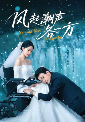 风起潮声各一方（84集）短剧全集无删完整版