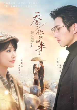 天亮了，你就回来了（63集）短剧全集高清无码版