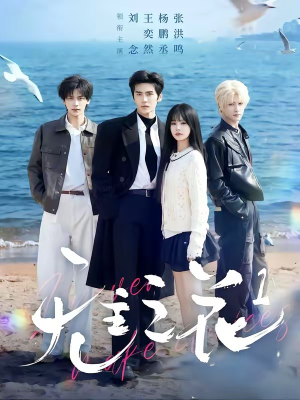 无主之花1（72集）短剧全季限免大放送