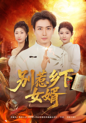 别惹乡下女婿（80集）短剧热映全集免费刷