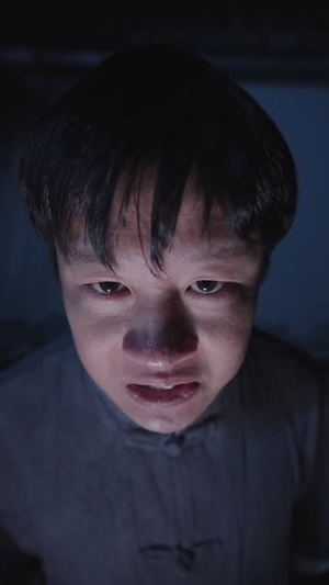 非遗皮影之双垣墨客镇乾坤（76集）短剧全剧终在线连看