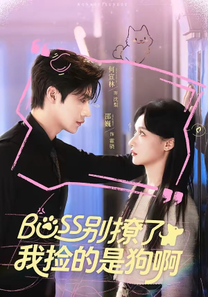 Boss别撩了，我捡的是狗呀（65集）短剧全剧终限免合集