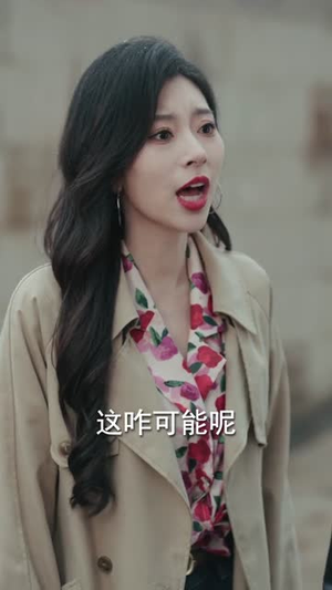 北城往事2002（60集）短剧合集蓝光画质