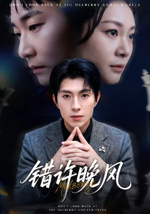 错许晚风（60集）短剧全集幕后花絮版
