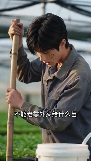 堂哥扣我分红，我靠龙虾逆天改命（40集）短剧全集无删完整版
