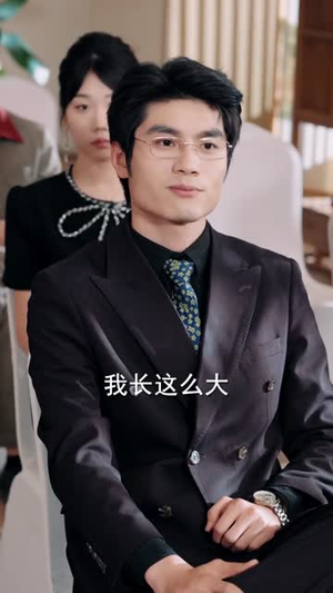 重生贤妻：我选保住前夫的尊严（80集）短剧全集高清完整版