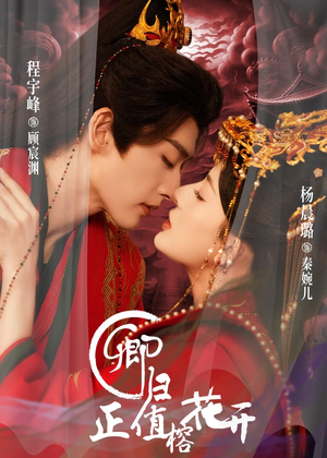卿归正值榕花开（70集）短剧终篇全集限免看