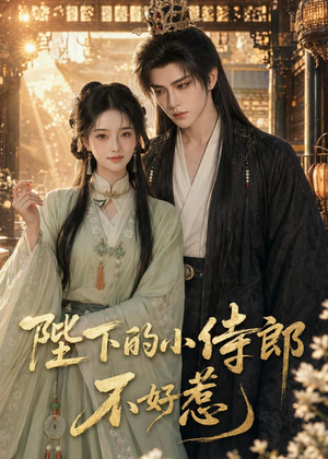 陛下的小侍郎不好惹（49集）短剧合集导演剪辑版