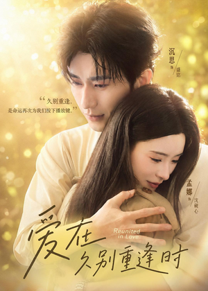 爱在就别重逢时（85集）短剧全集无删完整版