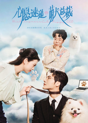 心愿速递之萌犬总裁（50集）短剧大结局超前点映