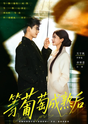 等葡萄成熟后（82集）短剧全集高清完整版