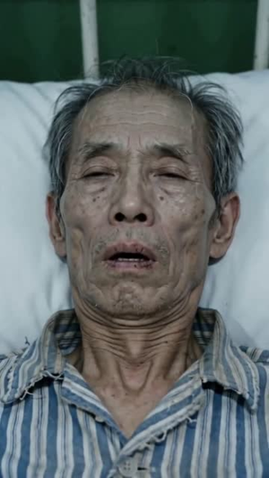 云岭打猎，分家后天天吃肉（70集）短剧大结局超前点映