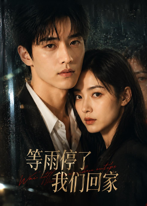 等雨停了,我们回家(10集) 等雨停了,我们回家(10集)短剧终篇全集限免看