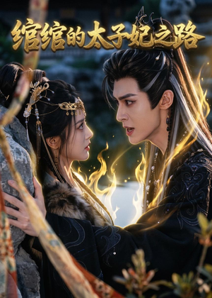 绾绾的太子妃之路(37集) 绾绾的太子妃之路(37集)短剧全集高清完整版