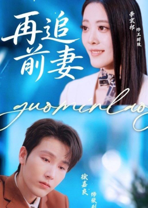 再追前妻（49集）短剧结局合集限免刷