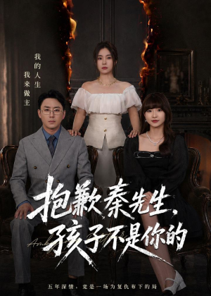 抱歉秦先生，孩子不是你的（53集）短剧全集高清完整版
