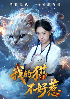 我的猫不好惹（42集）短剧热播全集免费追