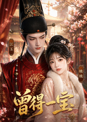 曾得一宝(19集) 曾得一宝(19集)短剧全集高清无码版