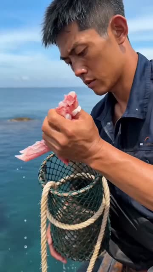 听海渔王（31集）短剧全集秒播无卡顿