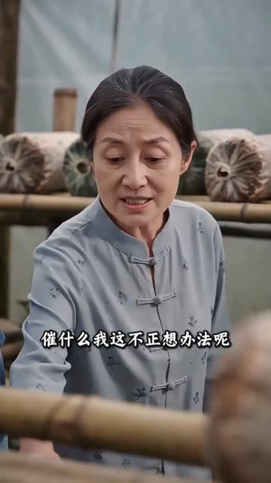 凤凰归来,我带领全村致富(63集) 凤凰归来,我带领全村致富(63集)短剧终篇全集限免看
