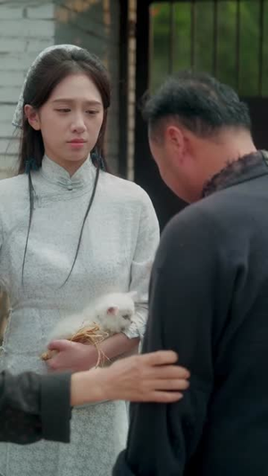 我的猫不好惹(42集) 我的猫不好惹(42集)短剧大结局连更全集