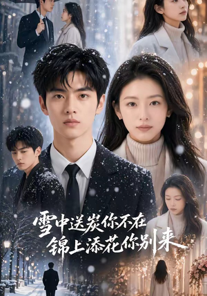 雪中送炭你不在,锦上添花你别来(60集) 雪中送炭你不在,锦上添花你别来(60集)短剧高分全集在线刷