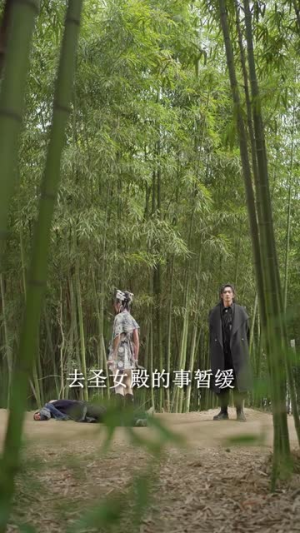 我的师妹绝色倾城（80集）短剧精选全集无广告