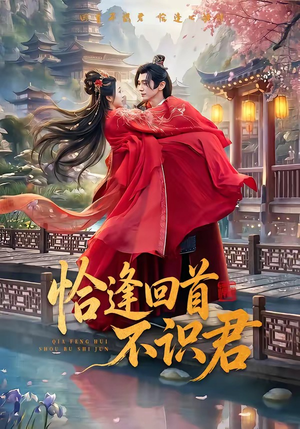 恰逢回首不识君(72集) 恰逢回首不识君(72集)短剧合集蓝光画质