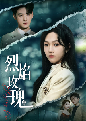 烈焰玫瑰（37集）短剧终极大结局合集