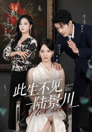 此生不见陆景川（66集）短剧合集通宵追更版