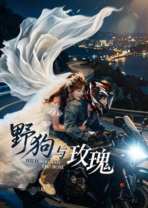 野狗与玫瑰（30集）短剧全集VR沉浸版