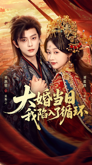 大婚当日，我陷入了循环（67集）短剧全剧免费合集