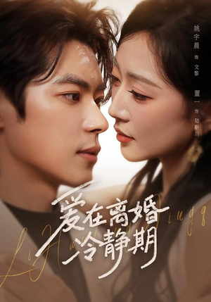 爱在离婚冷静期(73集) 爱在离婚冷静期(73集)短剧全集连看不停歇