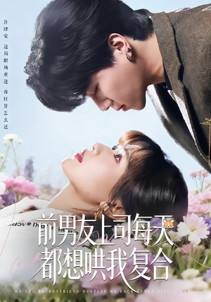 前男友上司每天都想哄我复合（77集）短剧大结局连更全集