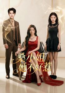 桑小姐她不好惹（103集）短剧全剧终在线连看