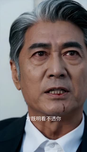 时间褶皱:余烬(40集) 时间褶皱:余烬(40集)短剧全剧终限免畅刷