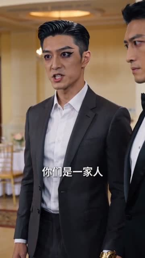 隐凤出山（94集）短剧爆款全集在线播