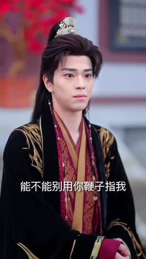 公主大人，我真没想造反（84集）短剧全集高清无码版
