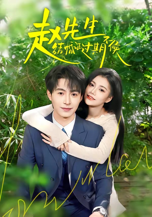 赵先生结婚证过期不候（50集）短剧全系列永久免费