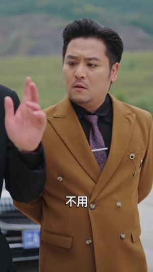 十四年沉浮，归来镇山河（80集）短剧合集杜比音效版