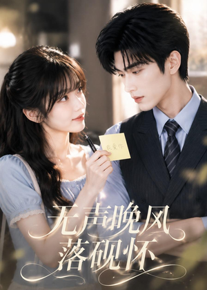 无声晚风落砚怀（40集）短剧合集导演剪辑版