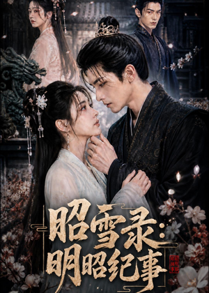 昭雪录：明昭纪事（20集）短剧超清全集在线看