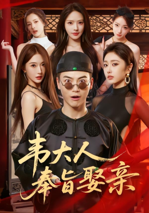 韦大人奉旨娶亲(81集) 韦大人奉旨娶亲(81集)短剧合集导演剪辑版