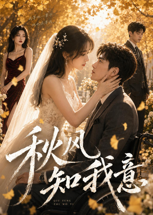 秋风知我意（49集）短剧合集通宵追更版
