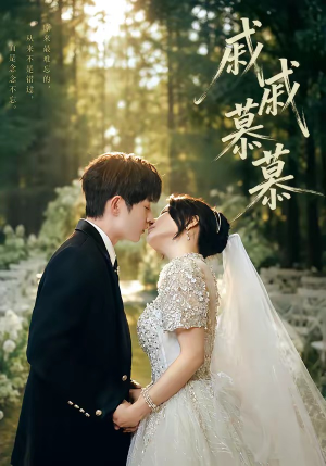戚戚慕慕（70集）短剧大结局超前点映