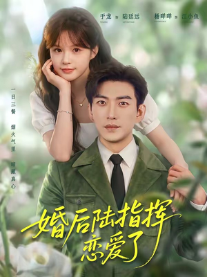 婚后陆指挥沦陷了（89集）短剧合集4K修复版